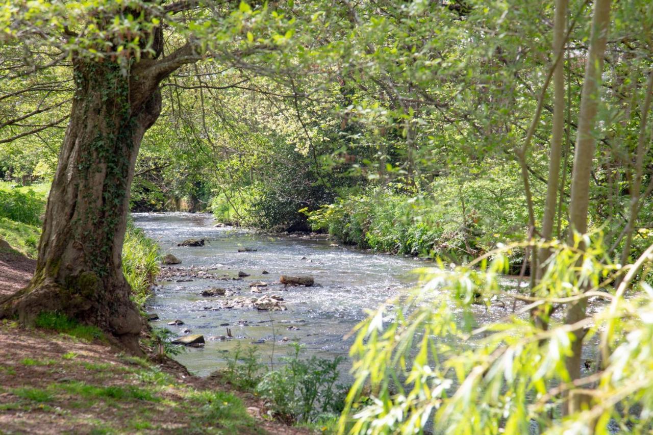 Orchard Cottage Sidmouth Buitenkant foto